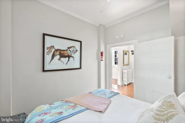 a view of a patio with couches and potted plants