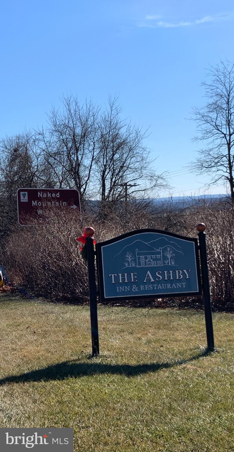 677 Federal Street Paris, VA 20130 - Photo 77 of 82 a view of a yard with an tree