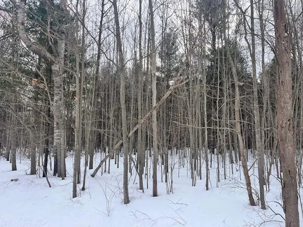 $190,000 | 17 9 9 Mile Road, Kaleva, MI 49645