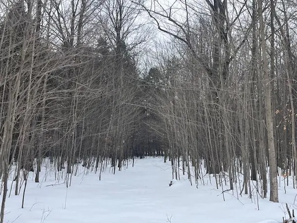 $190,000 | 17 9 9 Mile Road, Kaleva, MI 49645