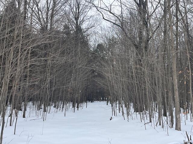 17 9 9 Mile Road Kaleva, MI 49645 - Photo 15 of 36 IMG_8371