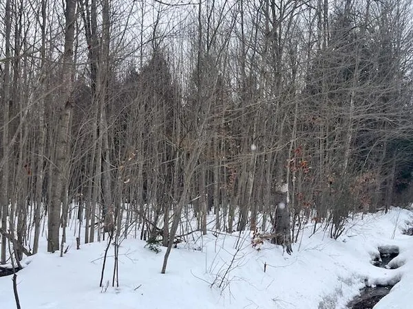 $190,000 | 17 9 9 Mile Road, Kaleva, MI 49645