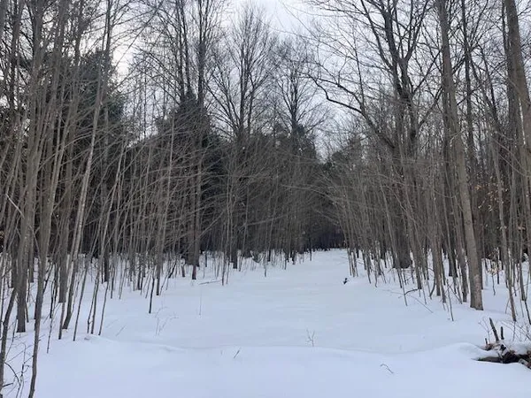 $190,000 | 17 9 9 Mile Road, Kaleva, MI 49645