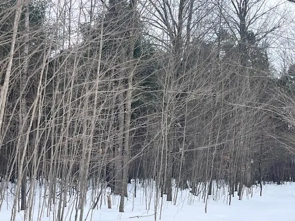 $190,000 | 17 9 9 Mile Road, Kaleva, MI 49645