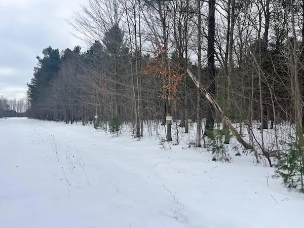 $190,000 | 17 9 9 Mile Road, Kaleva, MI 49645