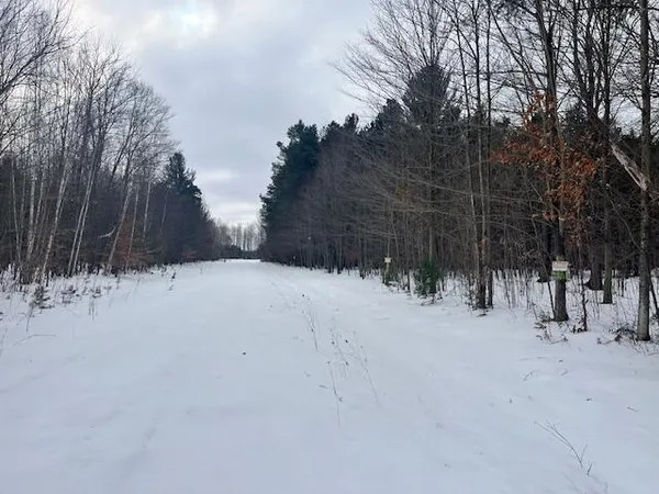 $190,000 | 17 9 9 Mile Road, Kaleva, MI 49645