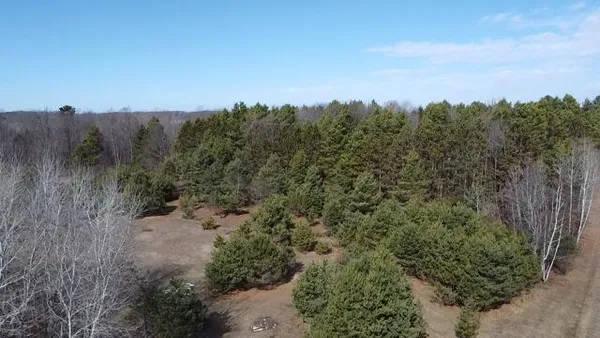 $190,000 | 17 9 9 Mile Road, Kaleva, MI 49645