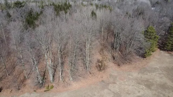 $190,000 | 17 9 9 Mile Road, Kaleva, MI 49645