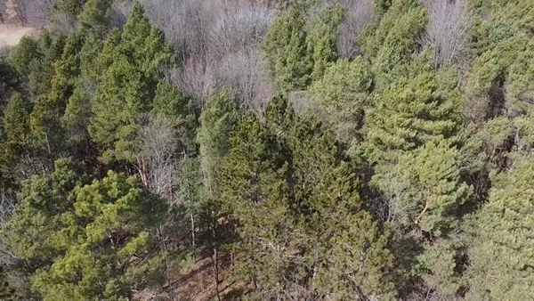 $190,000 | 17 9 9 Mile Road, Kaleva, MI 49645