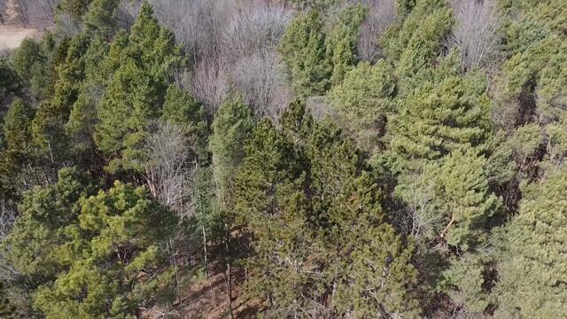 17 9 9 Mile Road Kaleva, MI 49645 - Photo 29 of 36 2026-03-09-12-58-51-443