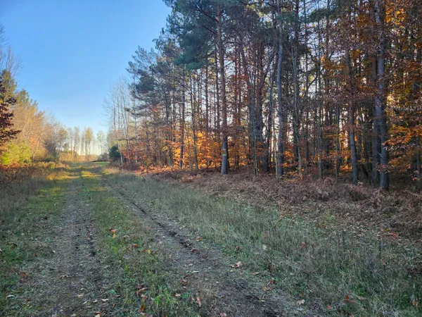 $190,000 | 17 9 9 Mile Road, Kaleva, MI 49645