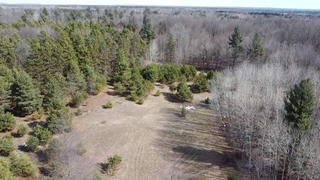 17 9 9 Mile Road Kaleva, MI 49645 - Photo 33 of 36 2026-03-09-12-57-17-907
