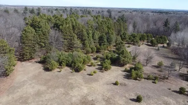 $190,000 | 17 9 9 Mile Road, Kaleva, MI 49645