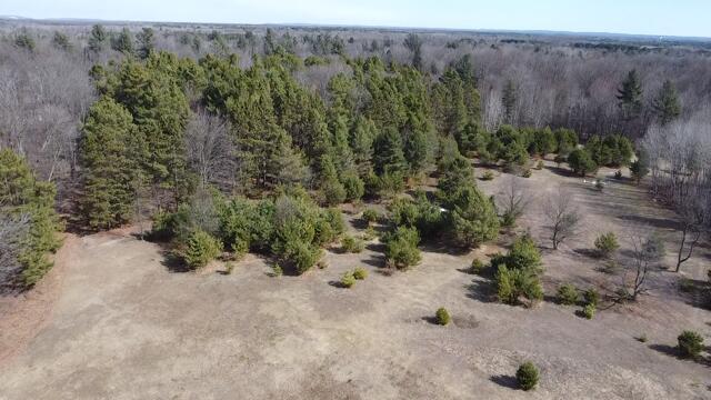 17 9 9 Mile Road Kaleva, MI 49645 - Photo 34 of 36 2026-03-09-12-58-04-386