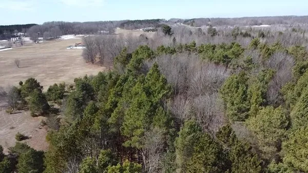 $190,000 | 17 9 9 Mile Road, Kaleva, MI 49645