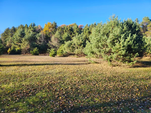 $190,000 | 17 9 9 Mile Road, Kaleva, MI 49645