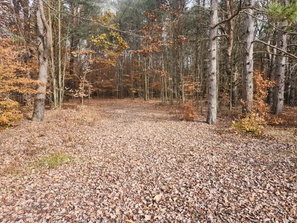 $190,000 | 17 9 9 Mile Road, Kaleva, MI 49645