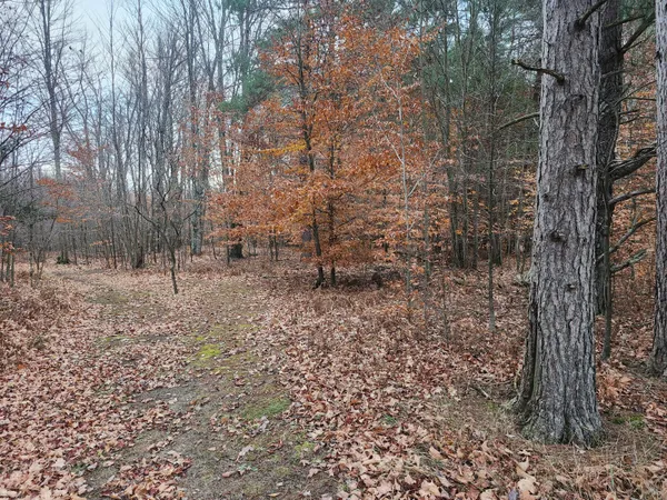 $190,000 | 17 9 9 Mile Road, Kaleva, MI 49645