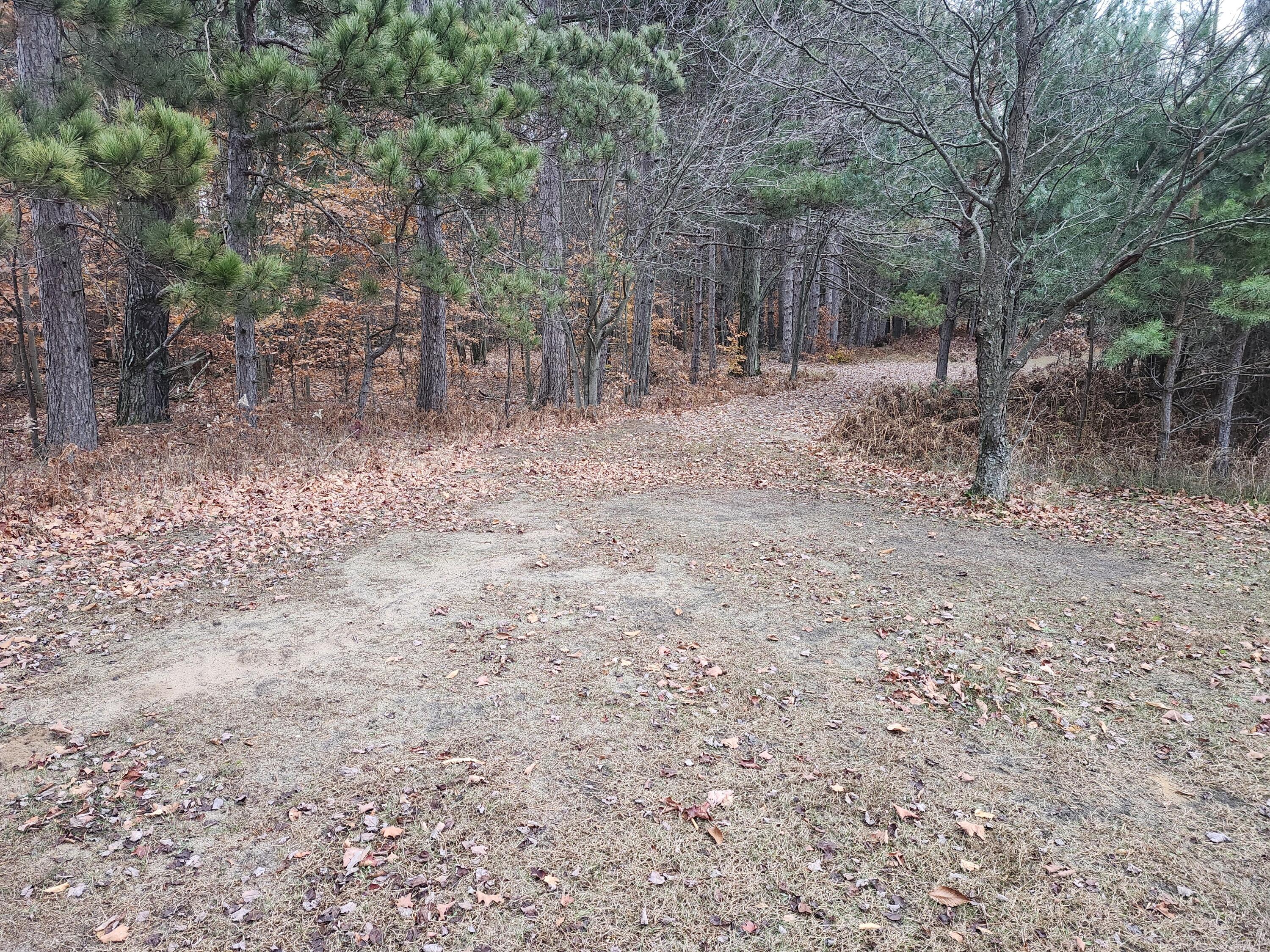 17 9 9 Mile Road Kaleva, MI 49645 - Photo 8 of 36 20251108_075042