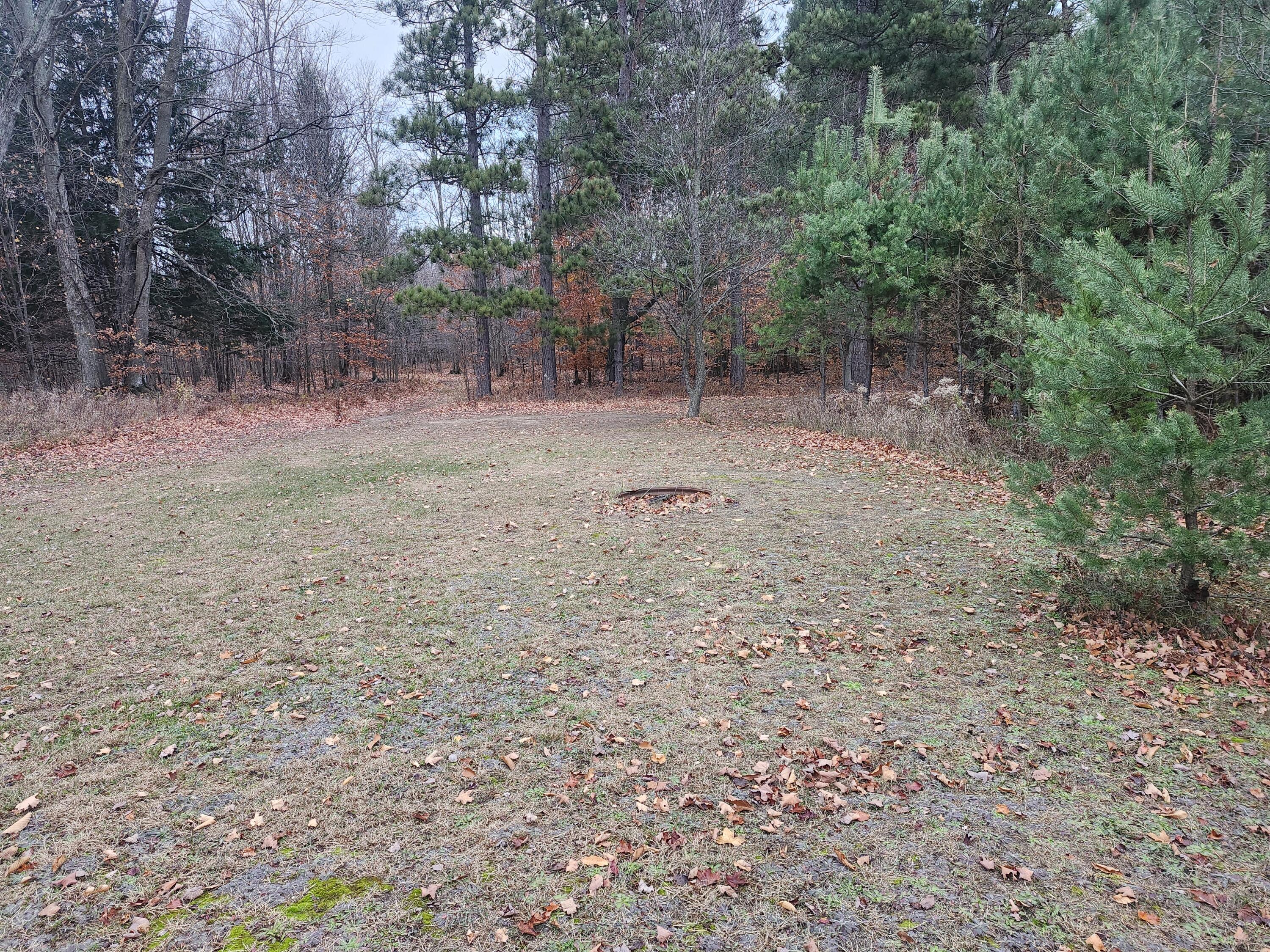17 9 9 Mile Road Kaleva, MI 49645 - Photo 9 of 36 20251108_075025
