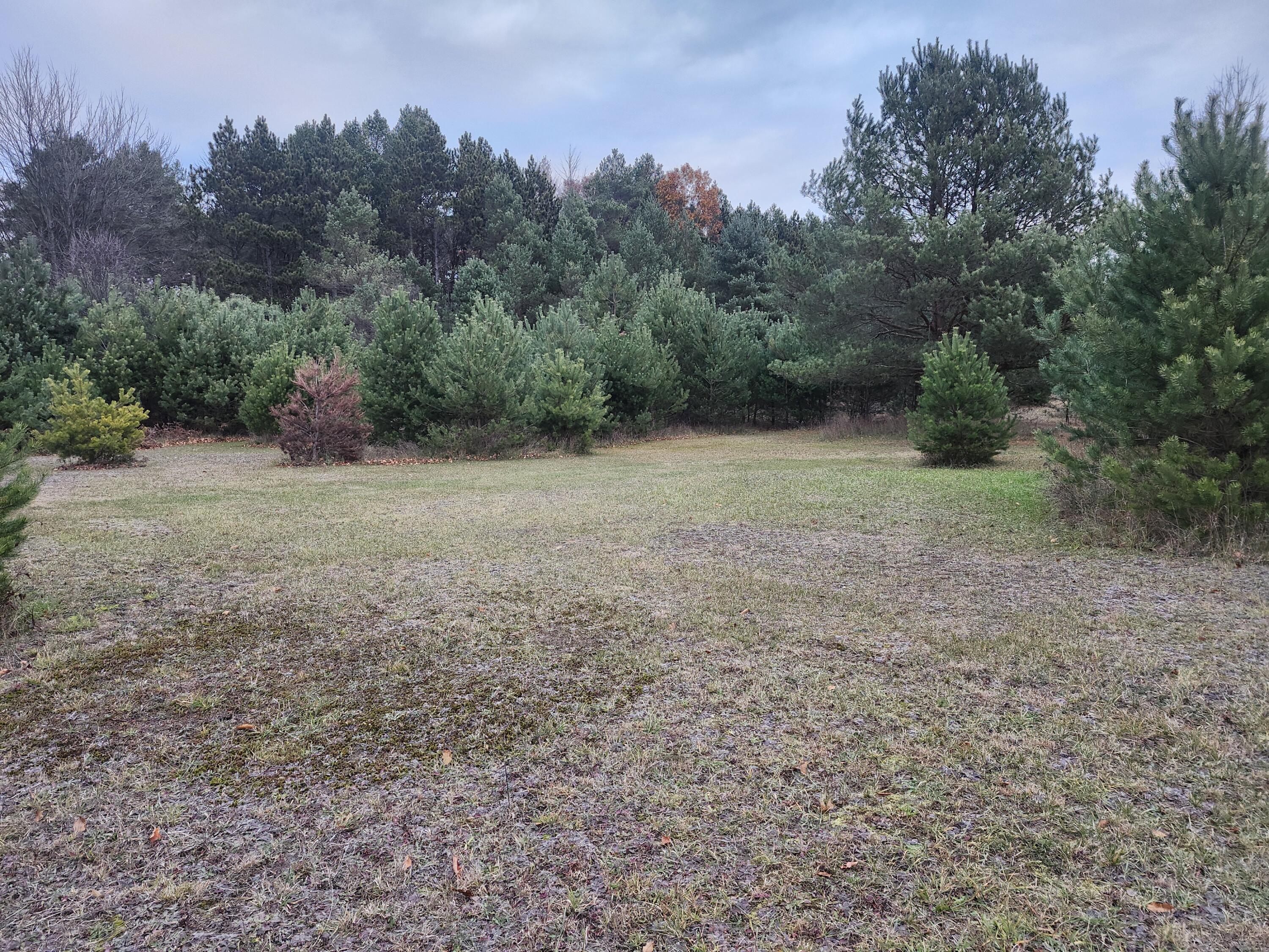 17 9 9 Mile Road Kaleva, MI 49645 - Photo 10 of 36 20251108_074951