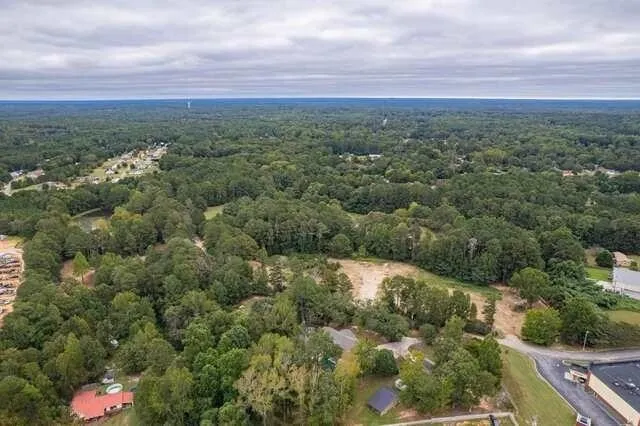 a view of a forest with a street