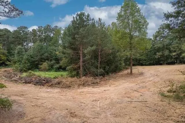 a view of a yard with a tree