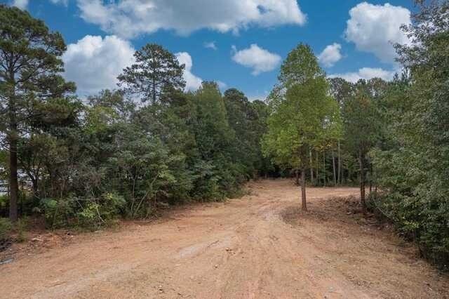 0 Reese Lane Hull, GA 30646 - Photo 7 of 24