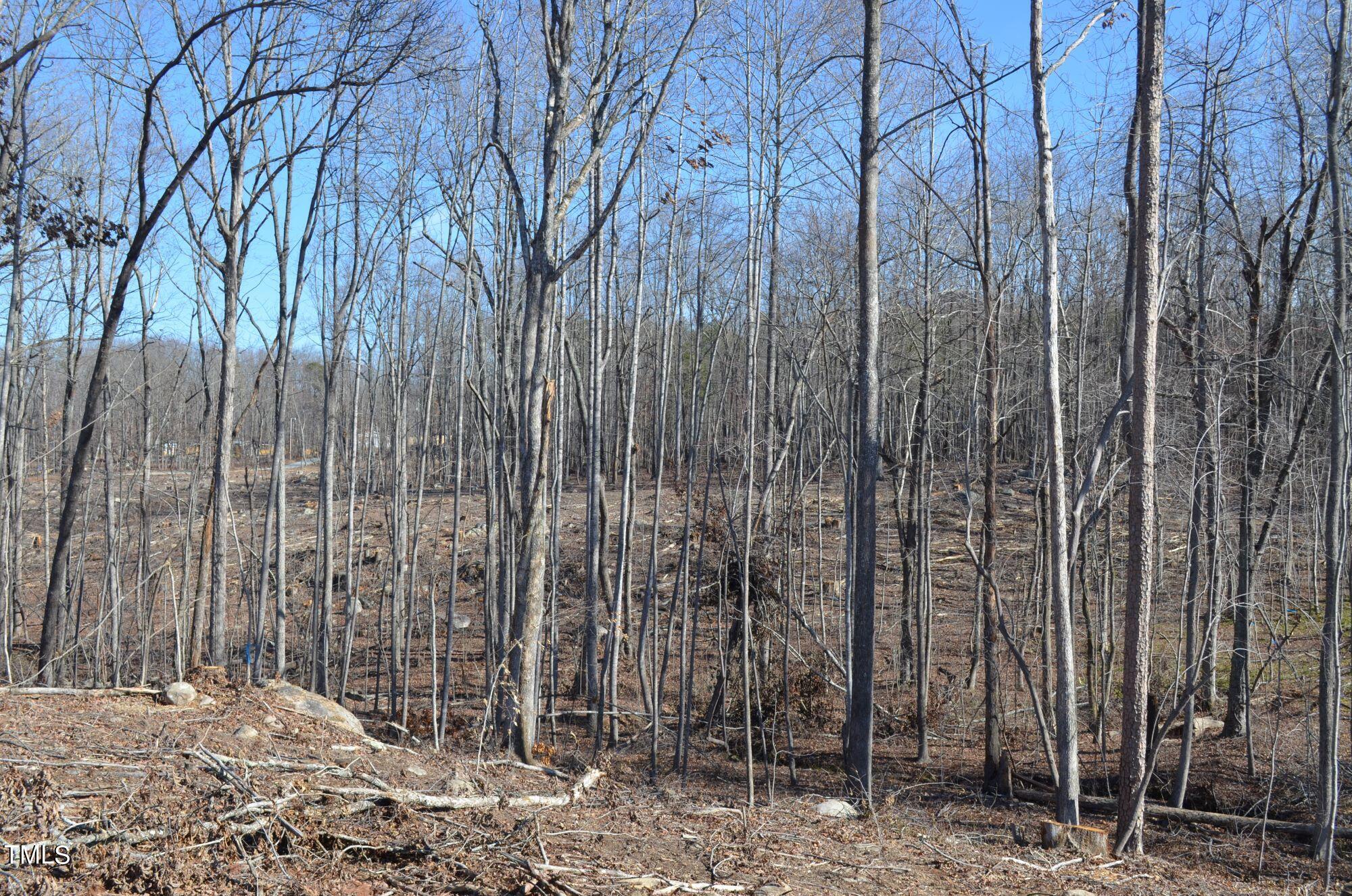 1879 Allensville Road Roxboro, NC 27574 - Photo 3 of 12 a view of a backyard with trees