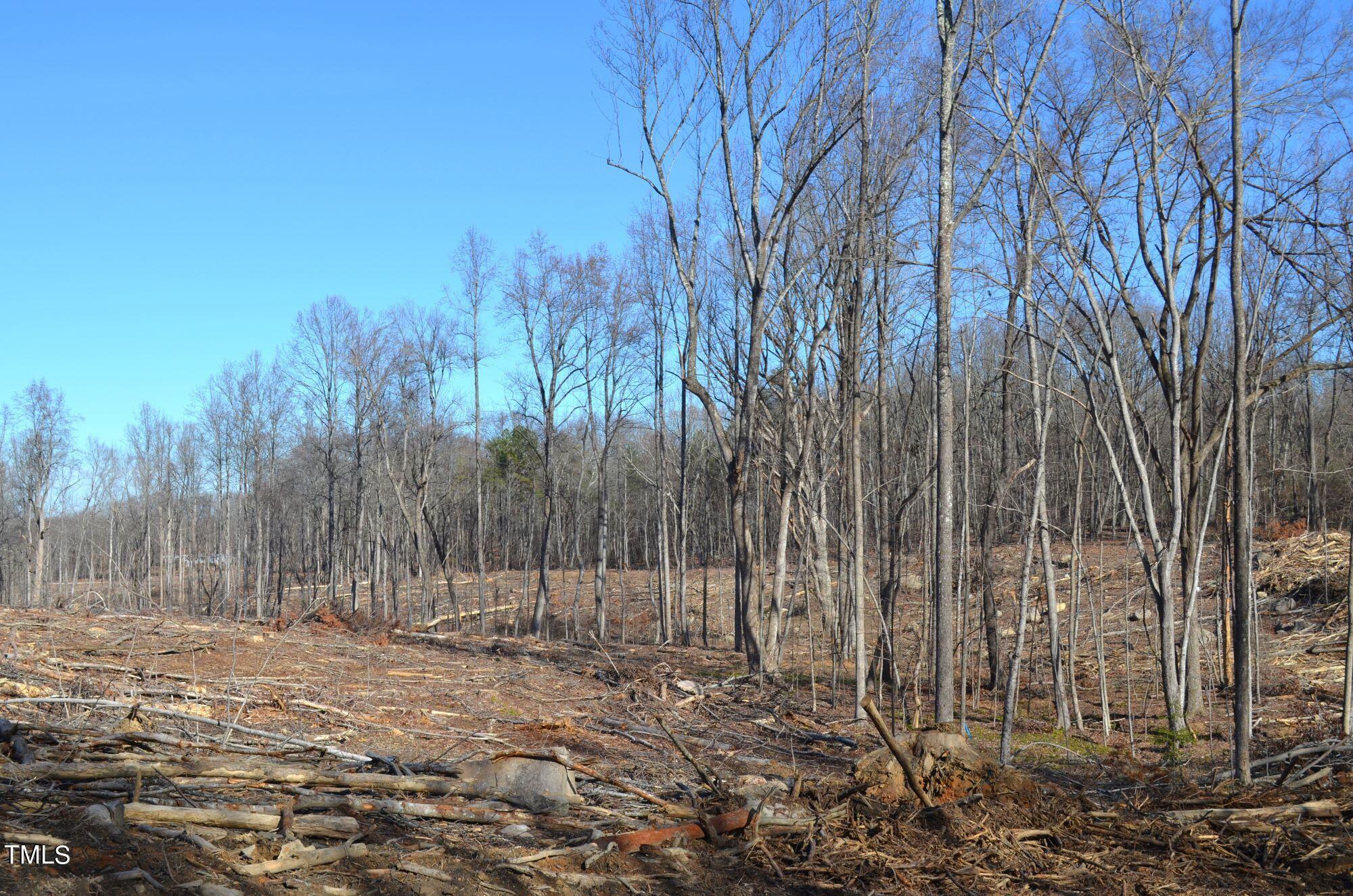 1879 Allensville Road Roxboro, NC 27574 - Photo 9 of 12 a view of a backyard of the house