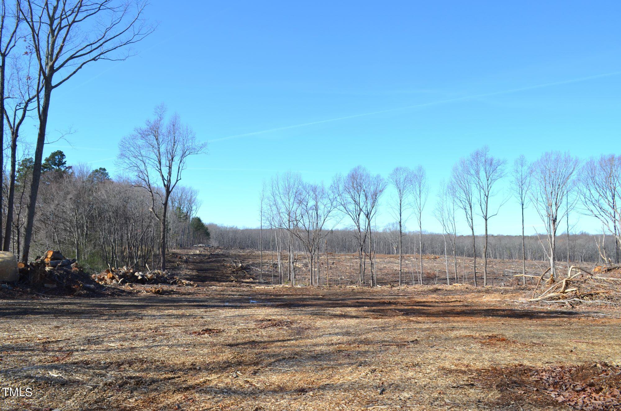 1879 Allensville Road Roxboro, NC 27574 - Photo 10 of 12 a view of a yard with large trees