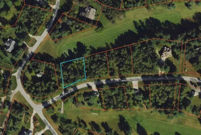 $18,500 | Lot 28 White Pine Drive, Cadillac, MI 49601