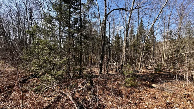 $18,500 | Lot 28 White Pine Drive, Cadillac, MI 49601