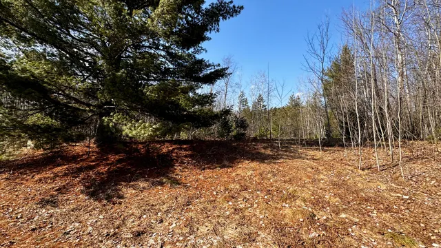 $18,500 | Lot 28 White Pine Drive, Cadillac, MI 49601
