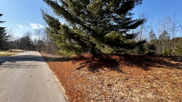 $18,500 | Lot 28 White Pine Drive, Cadillac, MI 49601