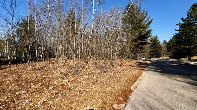 $18,500 | Lot 28 White Pine Drive, Cadillac, MI 49601