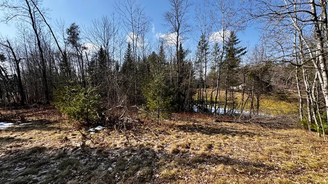 $18,500 | Lot 28 White Pine Drive, Cadillac, MI 49601
