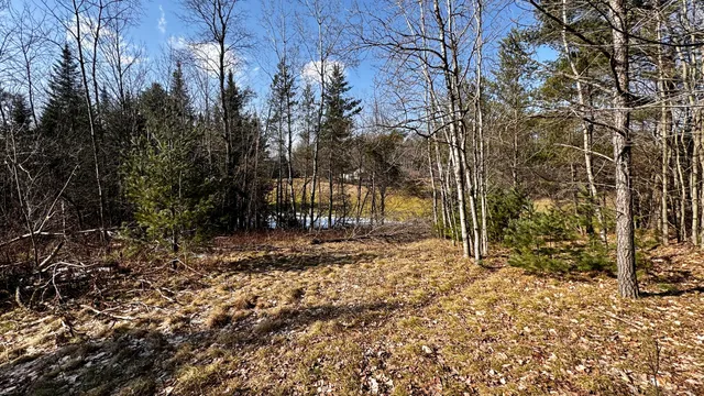 $18,500 | Lot 28 White Pine Drive, Cadillac, MI 49601