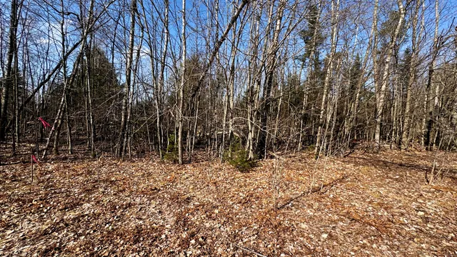 $18,500 | Lot 28 White Pine Drive, Cadillac, MI 49601