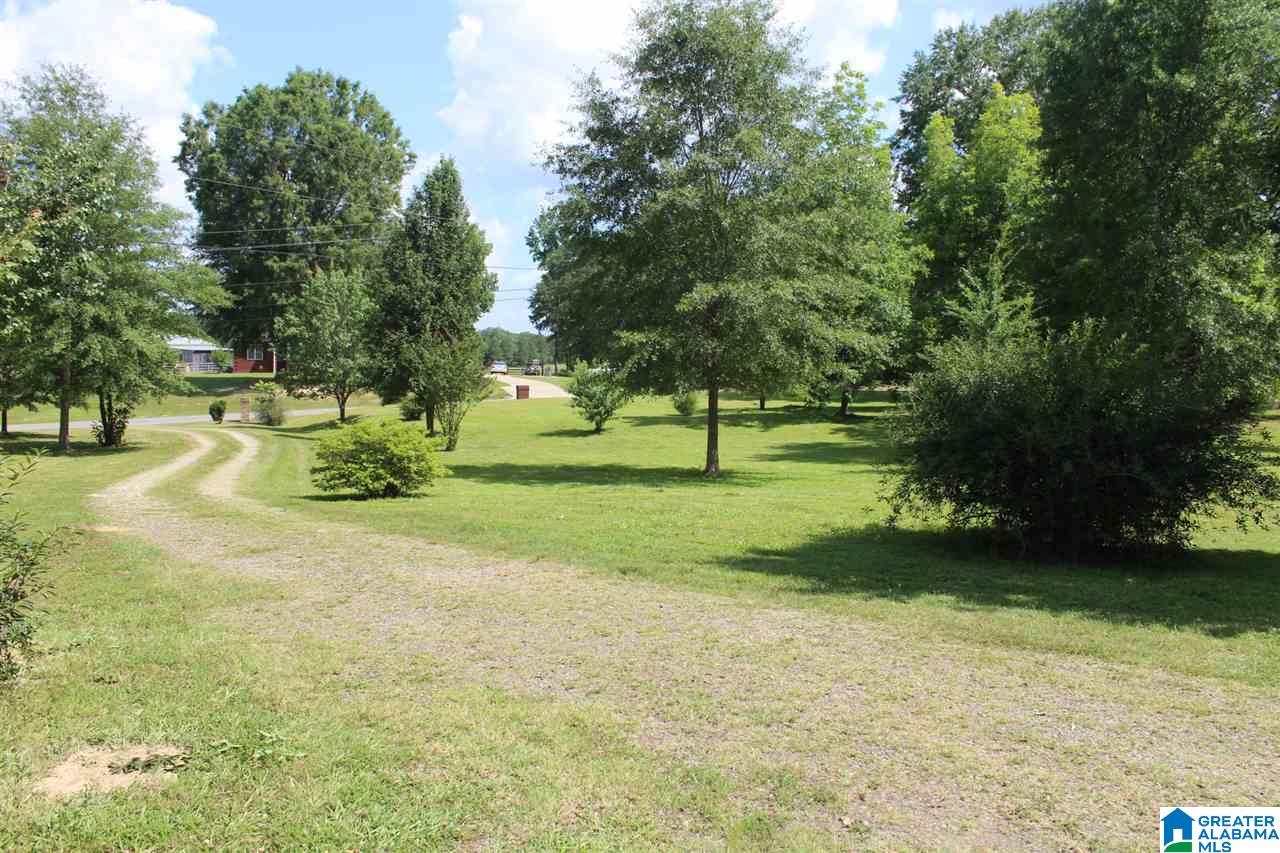 1623 Ripley Cutoff Road Carbon Hill, AL 35549 - Photo 35 of 38