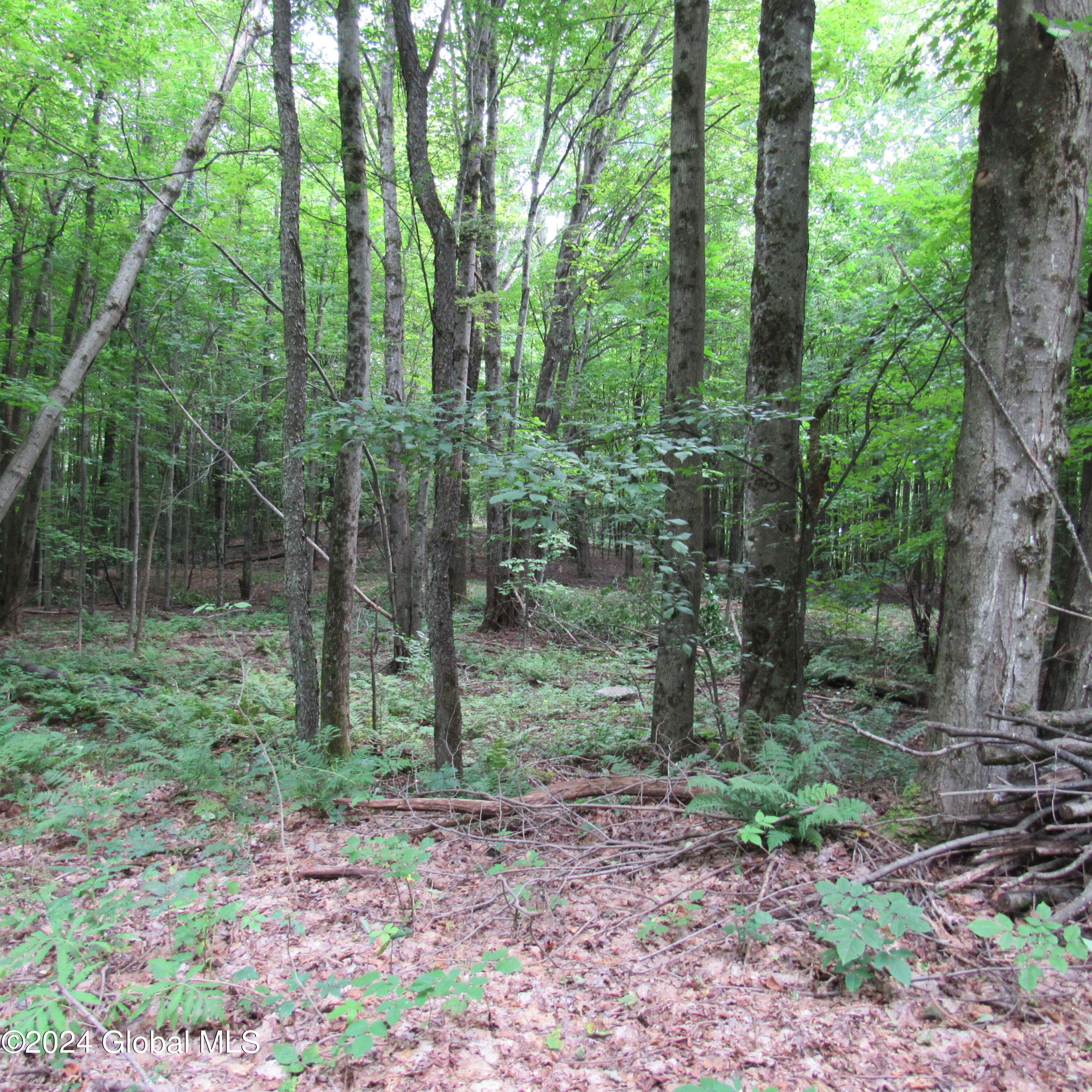 L67 15 L67 15 Barker Rd