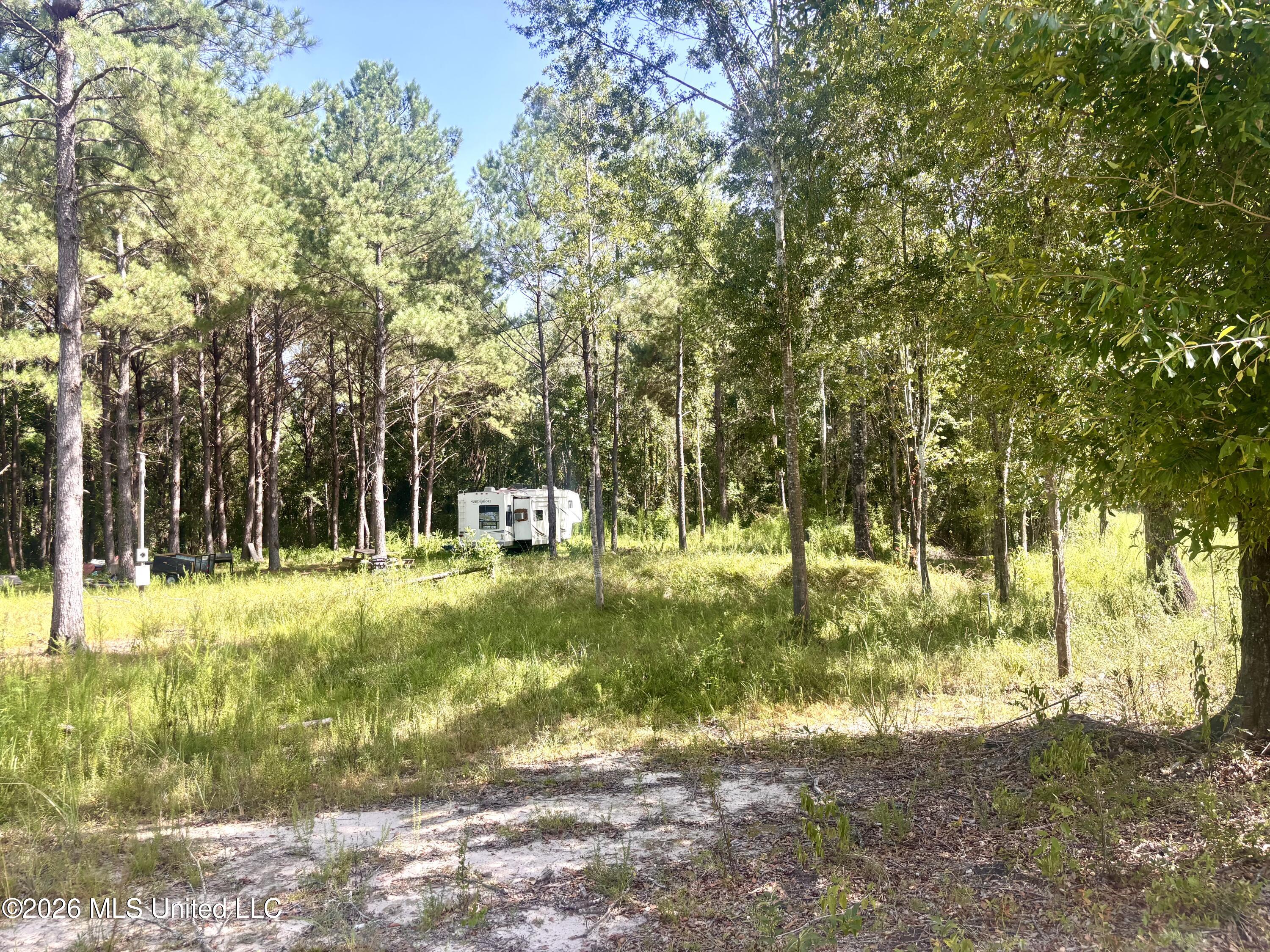 0 Robert Rhodes Road Poplarville, MS 39470 - Photo 5 of 11 IMG_3181