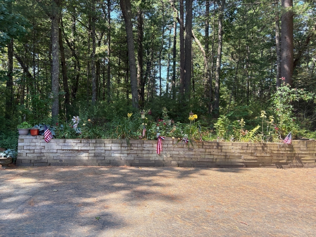 88 Colby Drive Halifax, MA 02338 - Photo 34 of 38 a view of road and trees