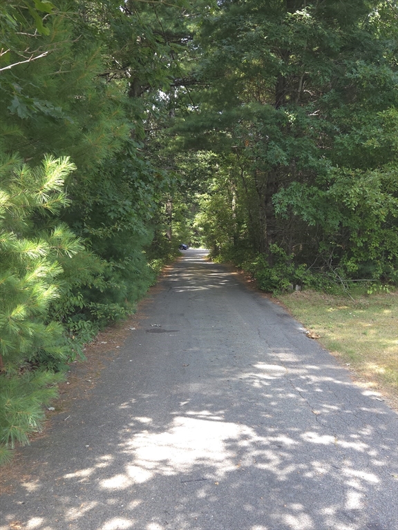 88 Colby Drive Halifax, MA 02338 - Photo 38 of 38 a view of a yard with a tree