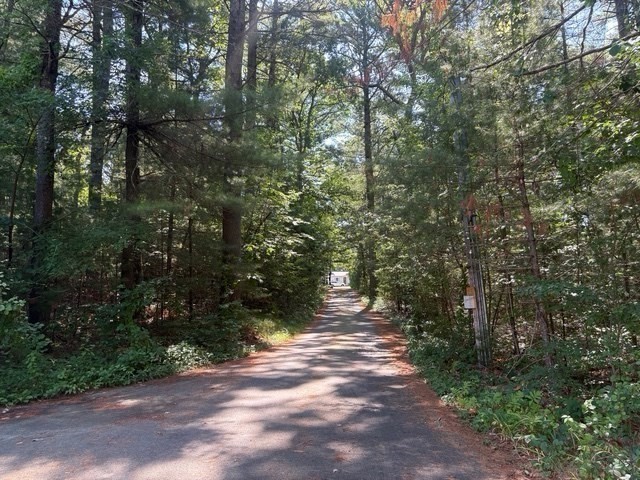 88 Colby Drive Halifax, MA 02338 - Photo 6 of 38 a view of a street with trees