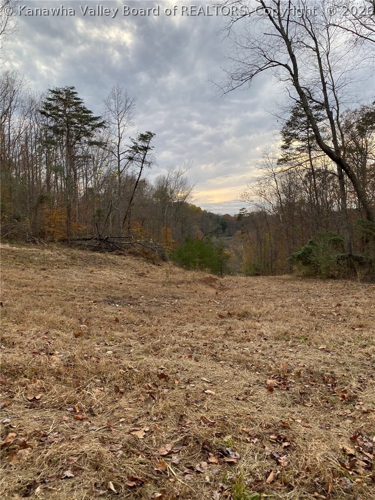 0 Poca River Road Poca, WV 25159 - Photo 29 of 30 Gallery Image 29