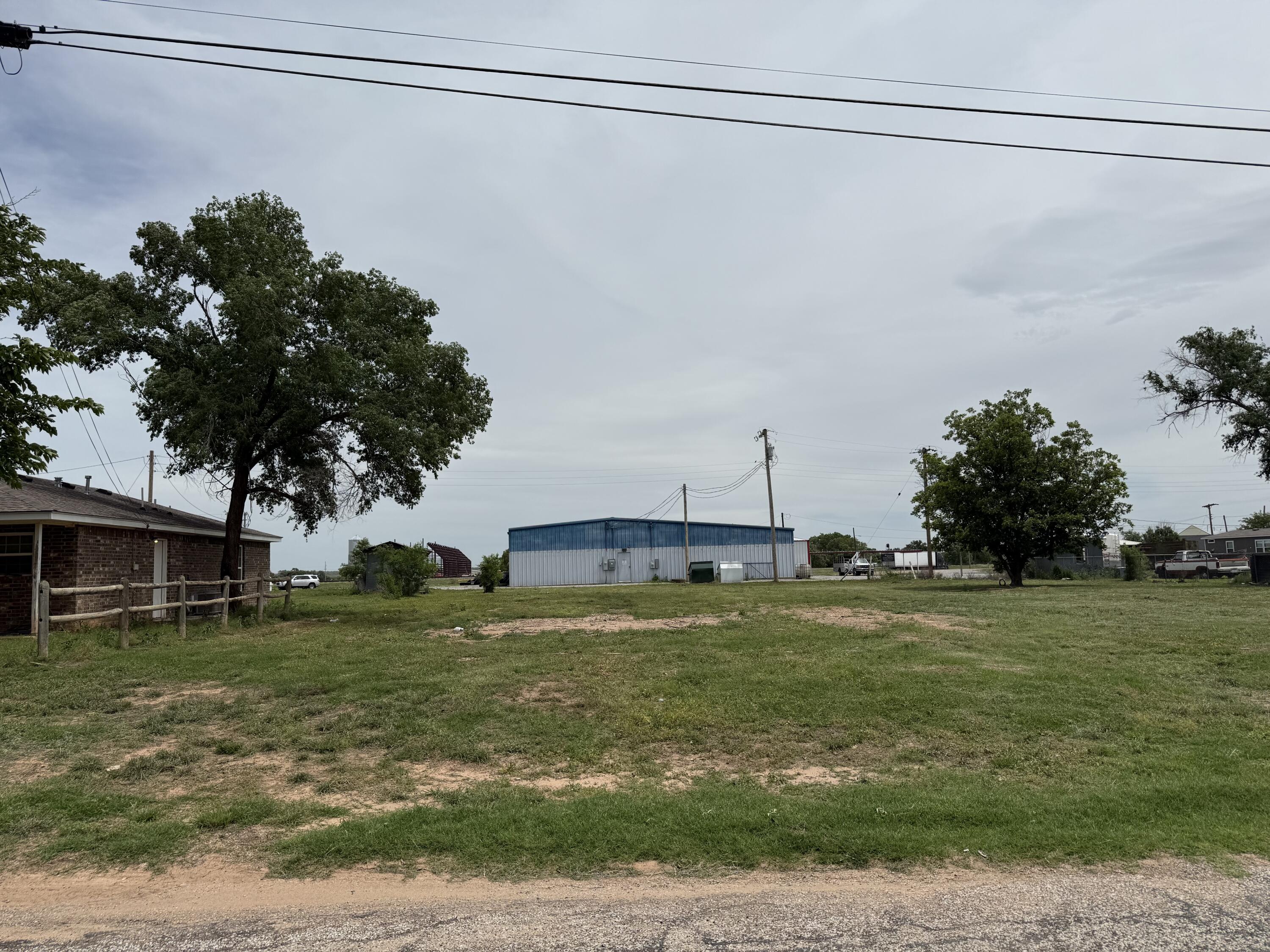 a view of a house with a big yard and a large tree