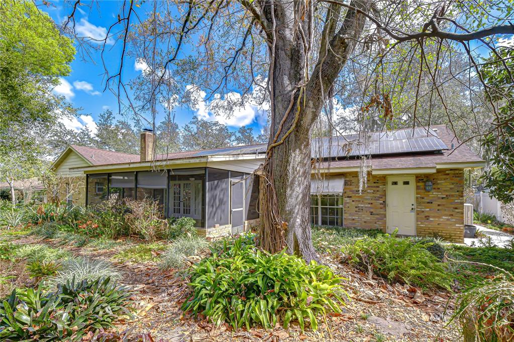 2608 Bellwood Drive Brandon, FL 33511 - Photo 24 of 27 front view of a house with a tree