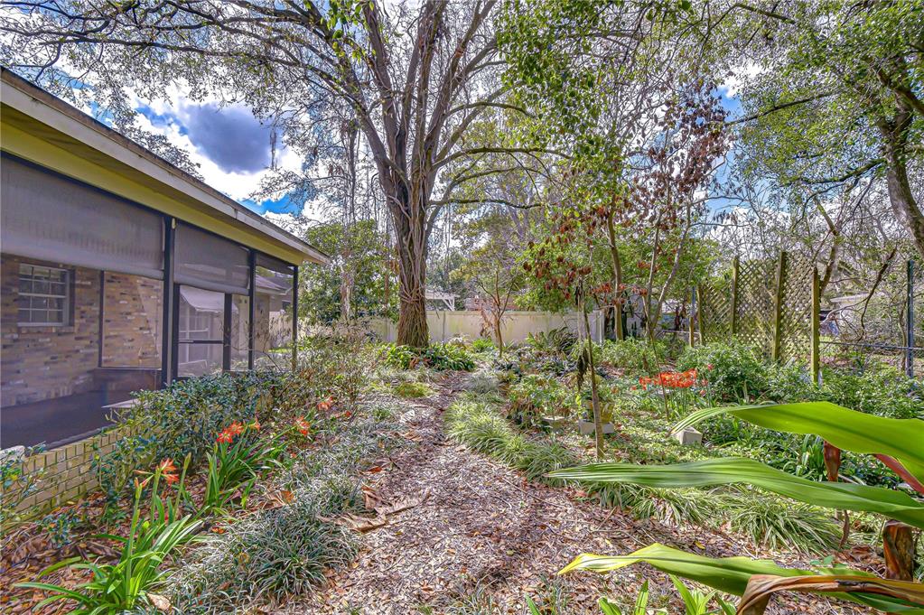 2608 Bellwood Drive Brandon, FL 33511 - Photo 25 of 27 a backyard of a house with lots of green space