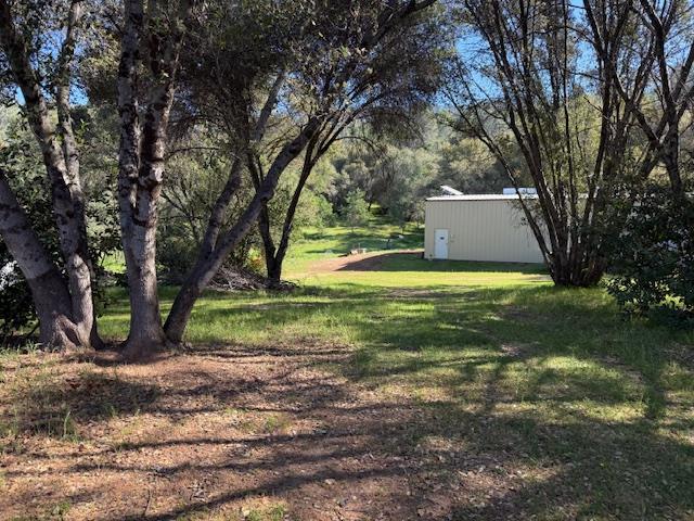 view of green pasture featuring a 2,400 sq ft metal shop/garage with 2 roll up doors